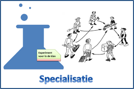 specialisaties