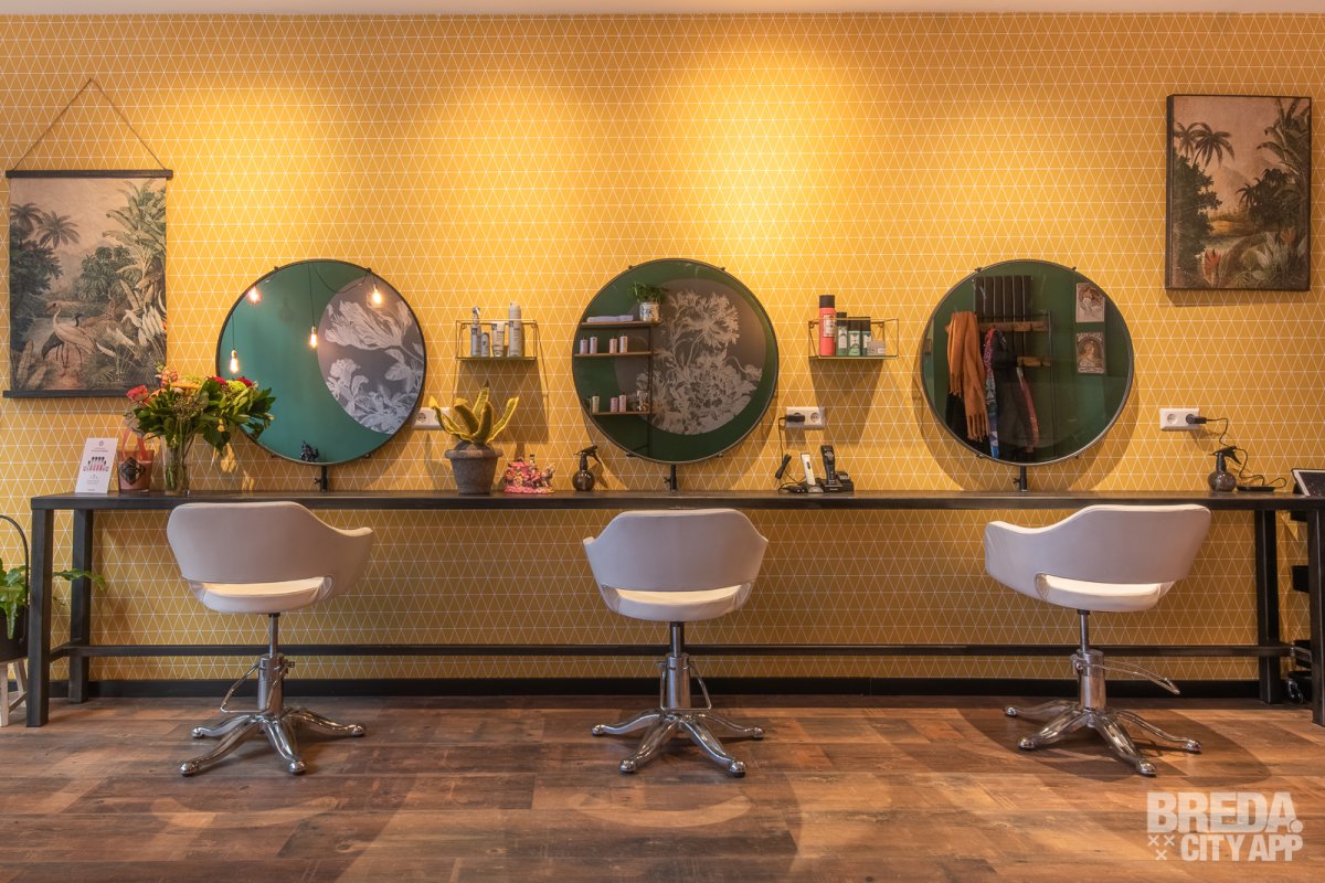 kinki kappers prijzen